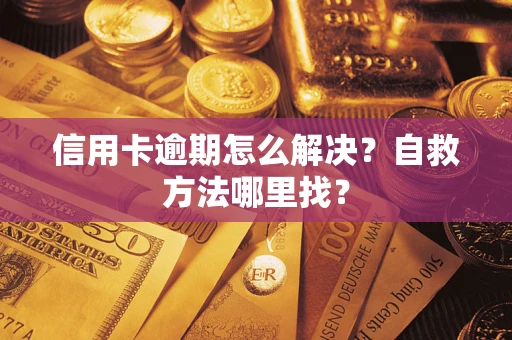 济南信用卡逾期怎么解决？自救方法哪里找？